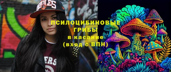 не бодяженный Новодвинск