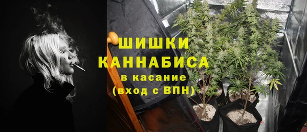 не бодяженный Новодвинск